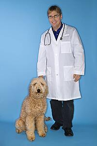 Middle-aged Caucasian male veterinarian with Goldendoodle dog.