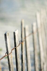 Weathered wooden fence on beach on Bald Head Island, North Carolina.