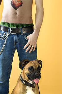 Young adult Caucasian male with Boxer dog.