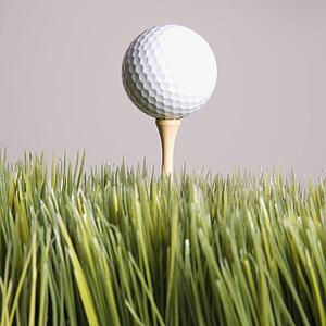 Studio shot of golf ball resting on tee in grass.