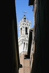 Torre del Mangia belltower seen through darkened alleyway.