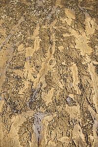 Dry textured dirt on ground