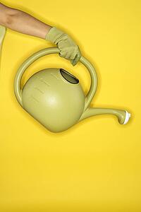 Young adult female Caucasian holding watering can.
