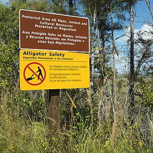 Alligator safety sign in Everglades National Park, Florida, USA.