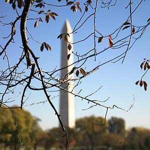 Washington Monument in Washington, D. C. USA