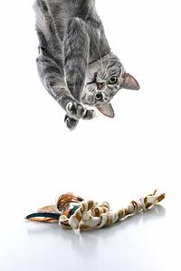 Gray striped cat hanging upside down playing with toy.
