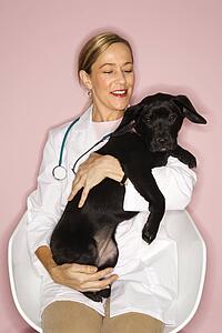 Caucasian prime adult female veterinarian with black puppy.