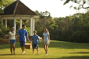 Caucasian family of four carrying picnic basket walking through park.