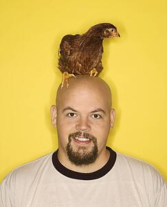 Bald caucasian mid-adult man with Golden Laced Wyandotte chicken on his head.