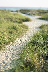 Sandy pathway to beach on Bald Head Island, North Carolina.