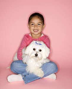 Female Hispanic girl holding Maltese dog.