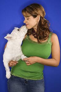 Caucasian prime adult female holding white terrier dog.