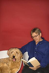 Middle-aged Caucasian man with Goldendoodle dog reading book.