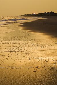 Golden beach at sunset.