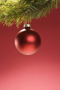 Still life of round red Christmas ornament hanging from pine branch.