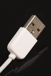 Firewire cord.