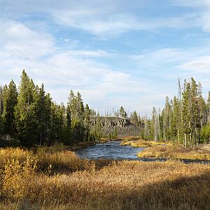 Landscape with stream and field in Yellowstone National Park, Wyoming.