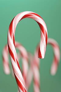 Still life of candy cane with blurred out candy canes in background.