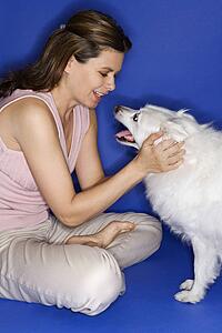 Caucasian prime adult female petting fluffy white dog.