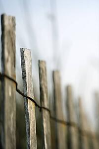 Image of wooden fence with rusted wiring