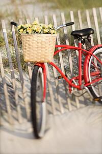 Red vintage bicycle with basket and flowers leaning against wooden fence at beach.