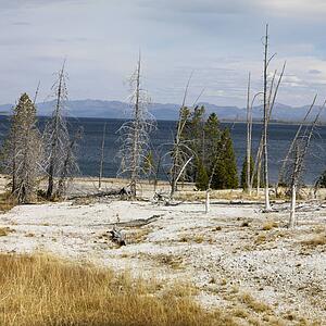 Barren shoreline at Yellowstone National Park, Wyoming.