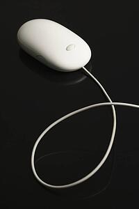 Computer mouse.