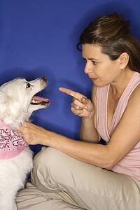 Caucasian prime adult female reprimanding fluffy white dog.