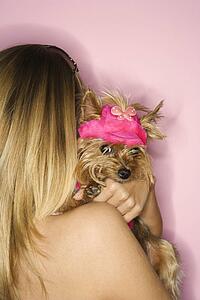 Caucasian young adult female holding Yorkshire Terrier dog.