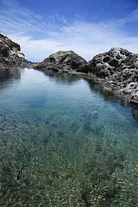Tidal pool with seaweed and large rocks and blue sky in background in Maui, Hawaii.