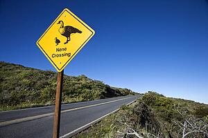 Shot of 'Nene Crossing' road sign in Haleakala National Park, Maui, Hawaii.