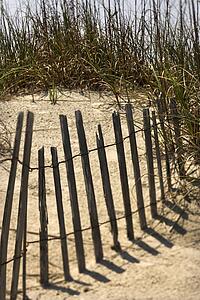 Weathered fence on sand dune on Bald Head Island, North Carolina.