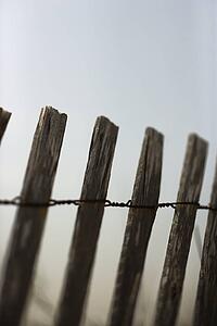 Close-up of weathered wooden fence.