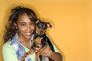 African American young adult female holding Miniature Pinscher dog.