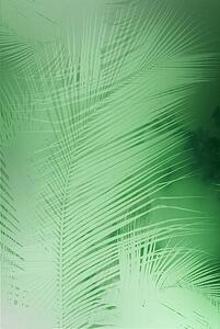 Monotone palm leaves