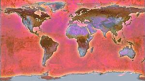 World Map Illustration
