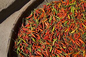 Peppers in a basket