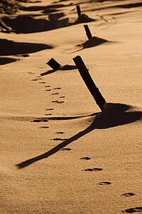 Tracks left behind