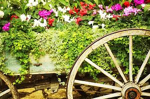 Wooden wagon flower bed