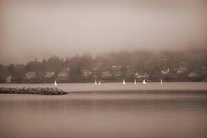 Sailboats in Victoria, British Columbia