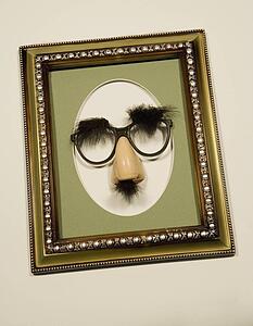 Groucho glasses in a picture frame