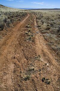 Rural dirt road