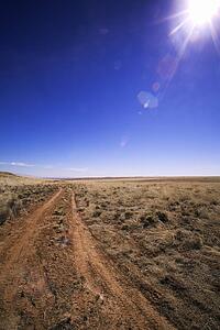Rural dirt road