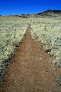 Trail leading to a volcano