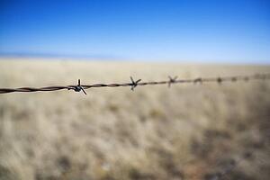 Barbed wire fence