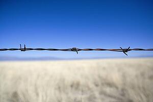 Barbed wire fence