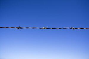 Barbed wire fence