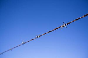 Barbed wire fence