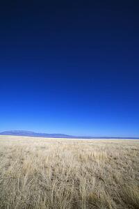Desert grass with mountains in the distance