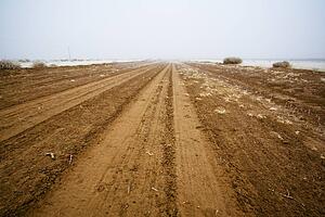 Rural dirt road